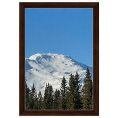 239733ec-ff12-48f0-8924-26c8f6f00dbd