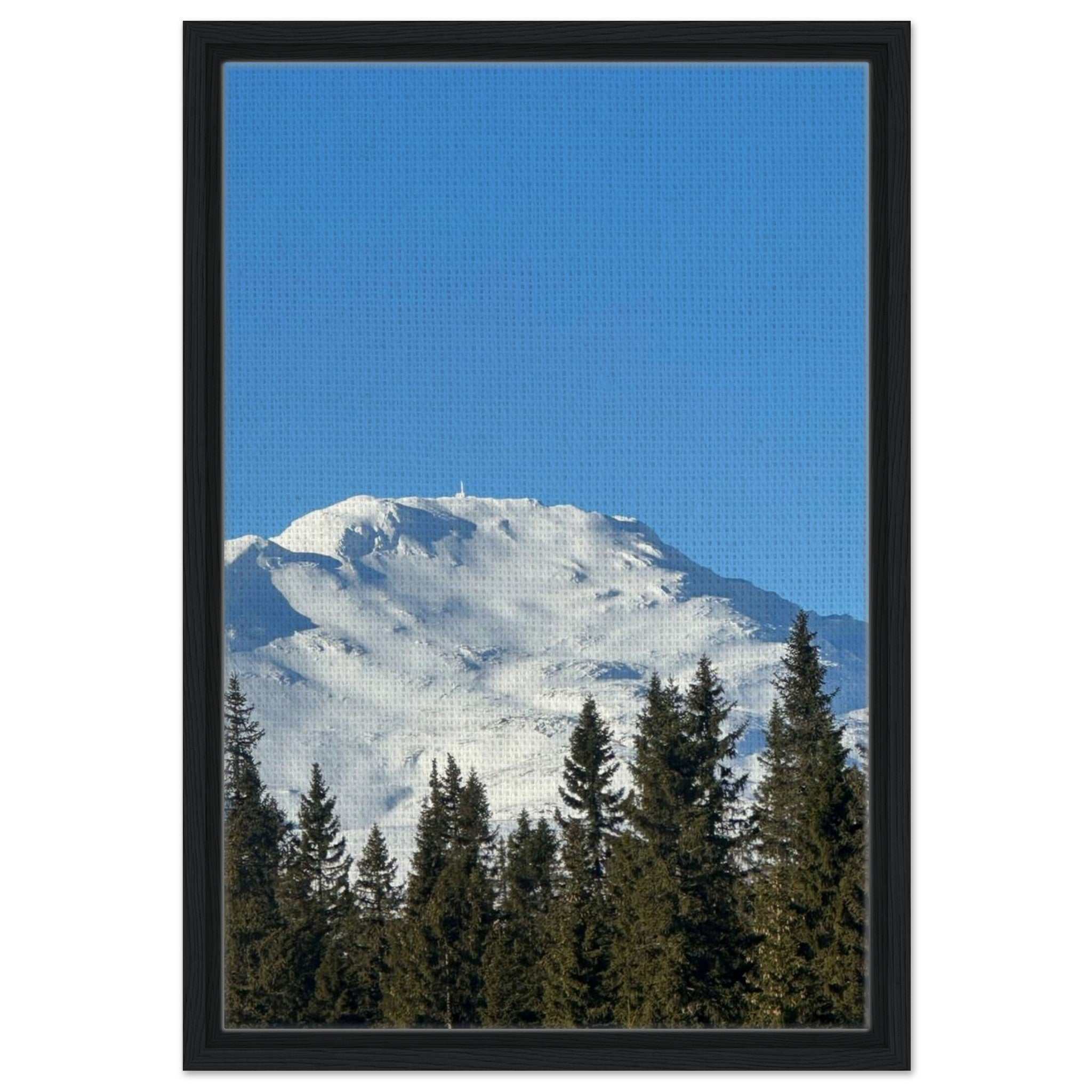 6455ce79-b786-4765-8b37-9e88d7d42bc3