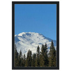 6455ce79-b786-4765-8b37-9e88d7d42bc3