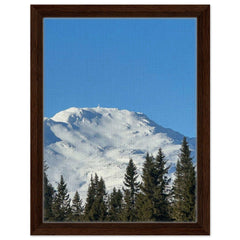 b19262eb-548d-47f5-8b8d-3afa09c5543a