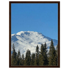 c8e00dae-f582-4a18-a3ff-ca56b75f867c