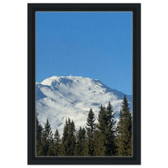 cc79587d-a536-4892-af55-83a93c0e6ccf