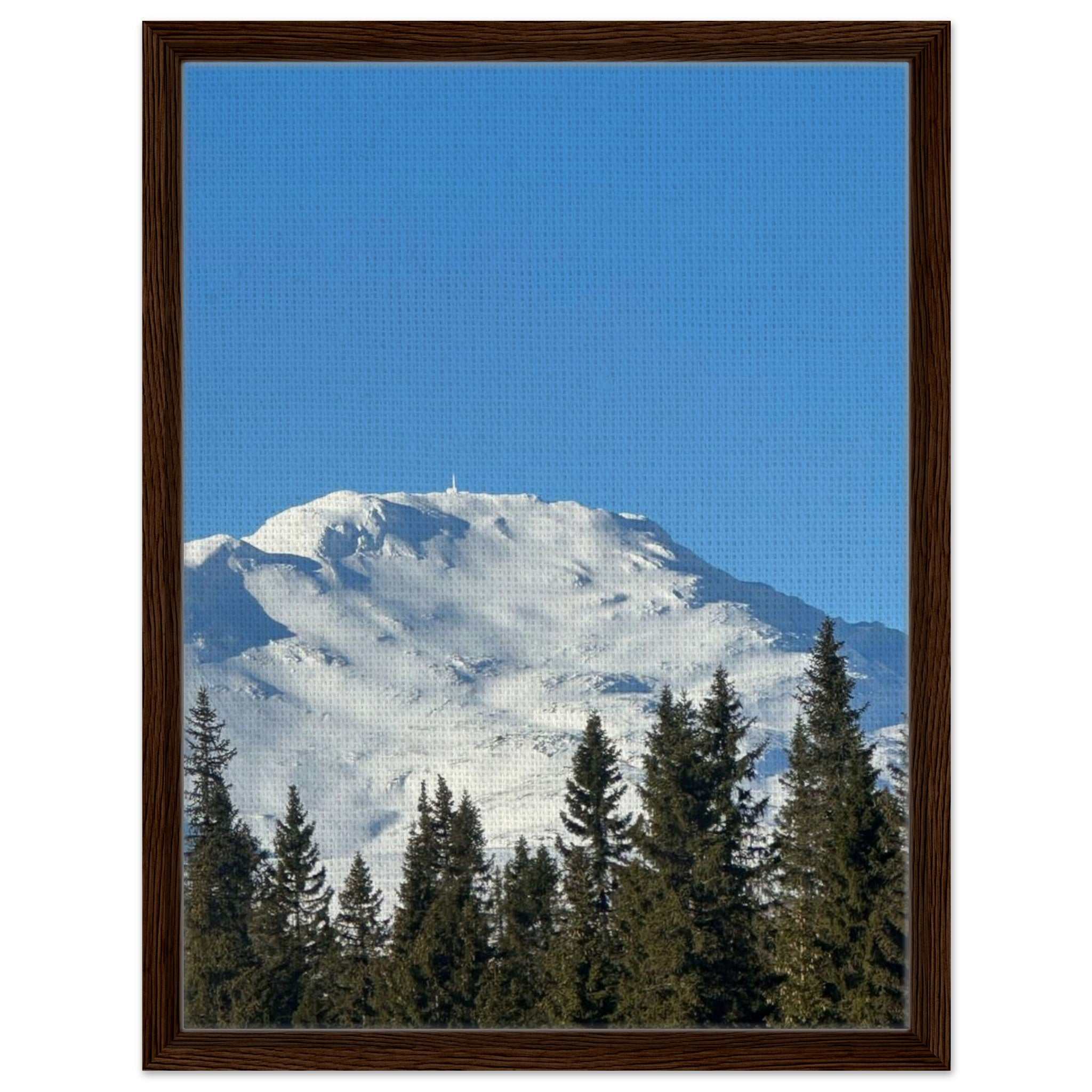 d052e2fe-766b-41f4-bb42-b6d8ed1444a5