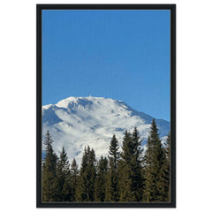 f0bbe69a-09de-4e46-8b1d-78f33be3c67f