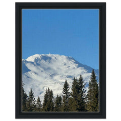 f83f6031-c8ed-4a91-89cb-6817330776dc